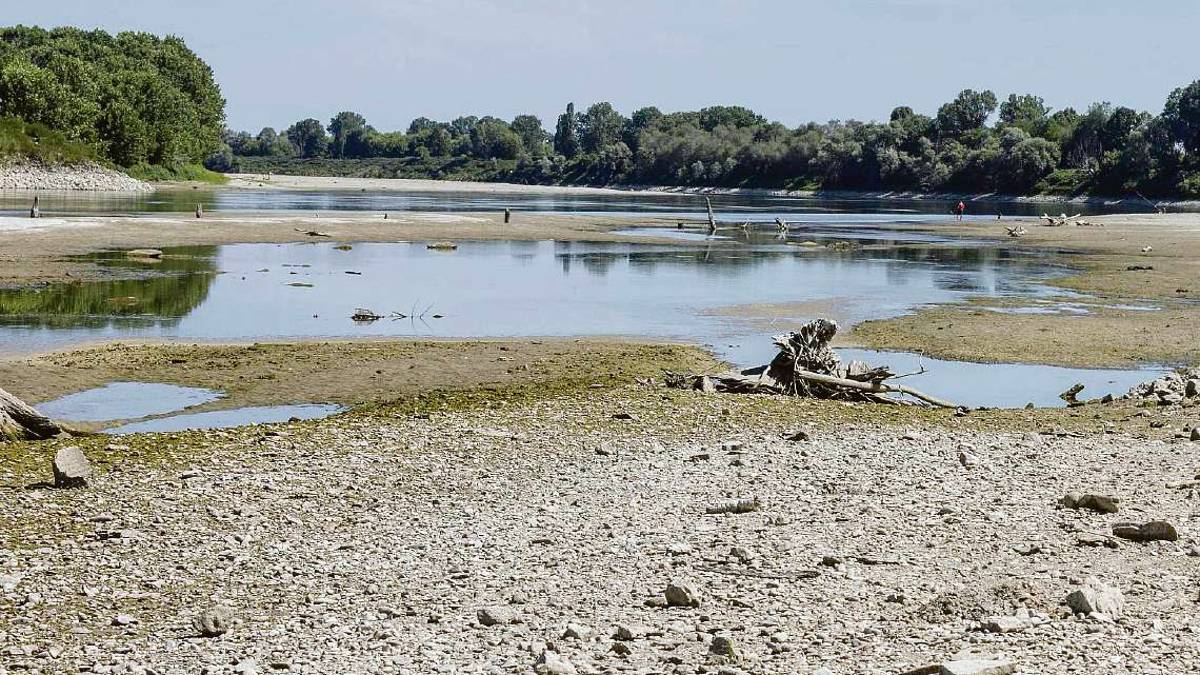 Vincenzi Da Piacenza a Rimini manca l’80% dell’acqua