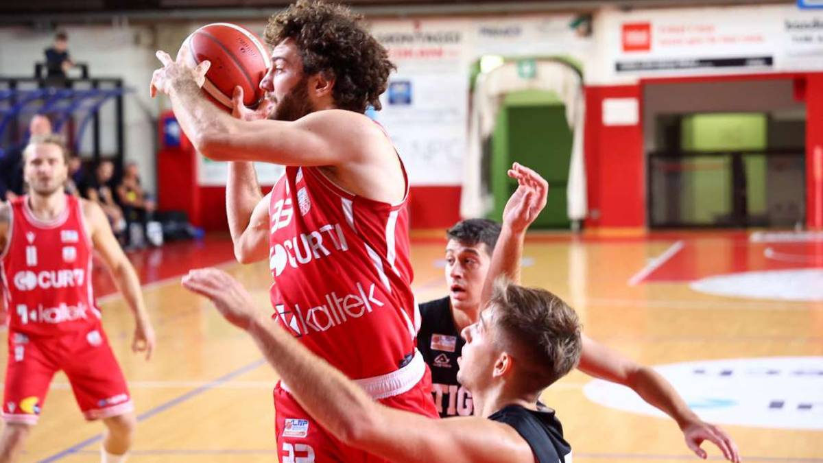 Basket B, Trentin: «Il ritorno di Cusenza porta certezze all'Andrea Costa»
