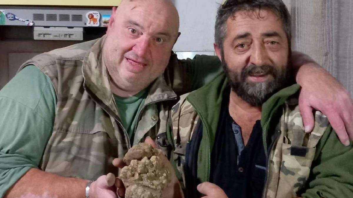 Meldola. Tartufo bianco da record di oltre 700 grammi: impresa di due amici