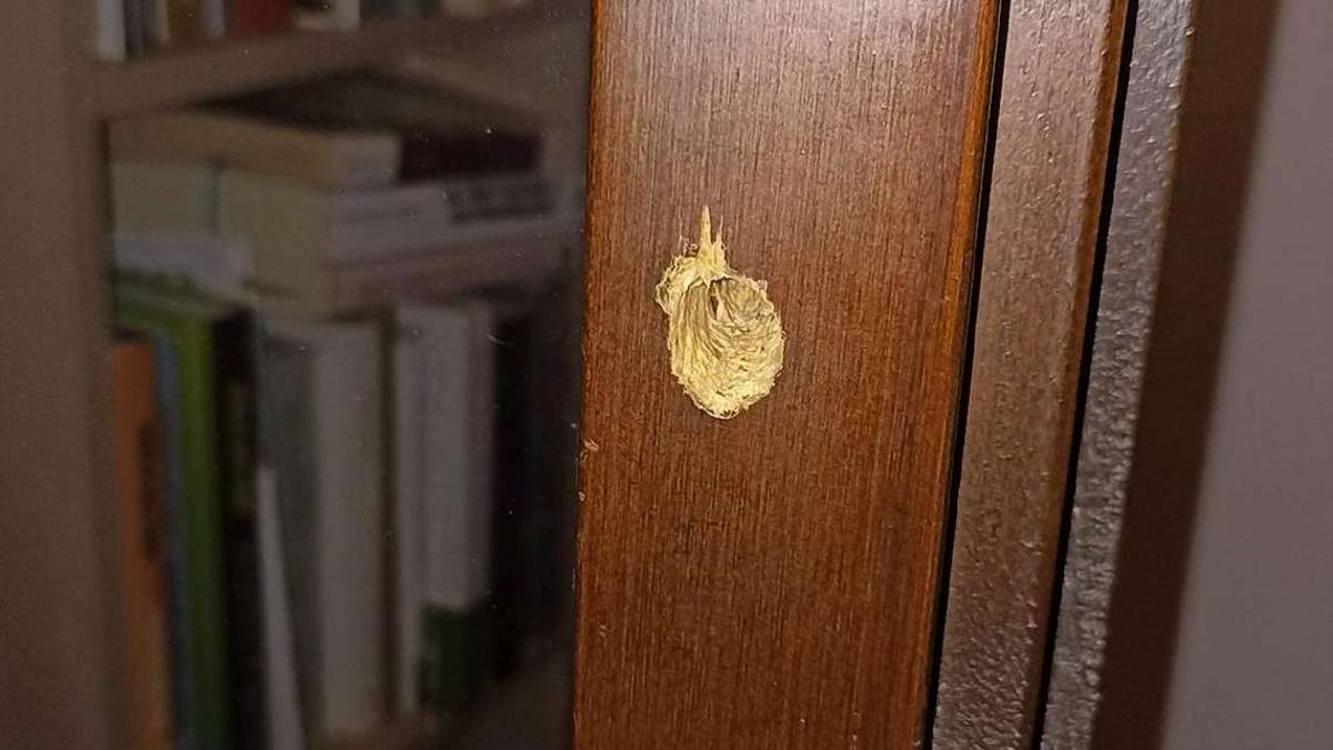 Cesena, riecco i ladri buca infissi in zona stadio