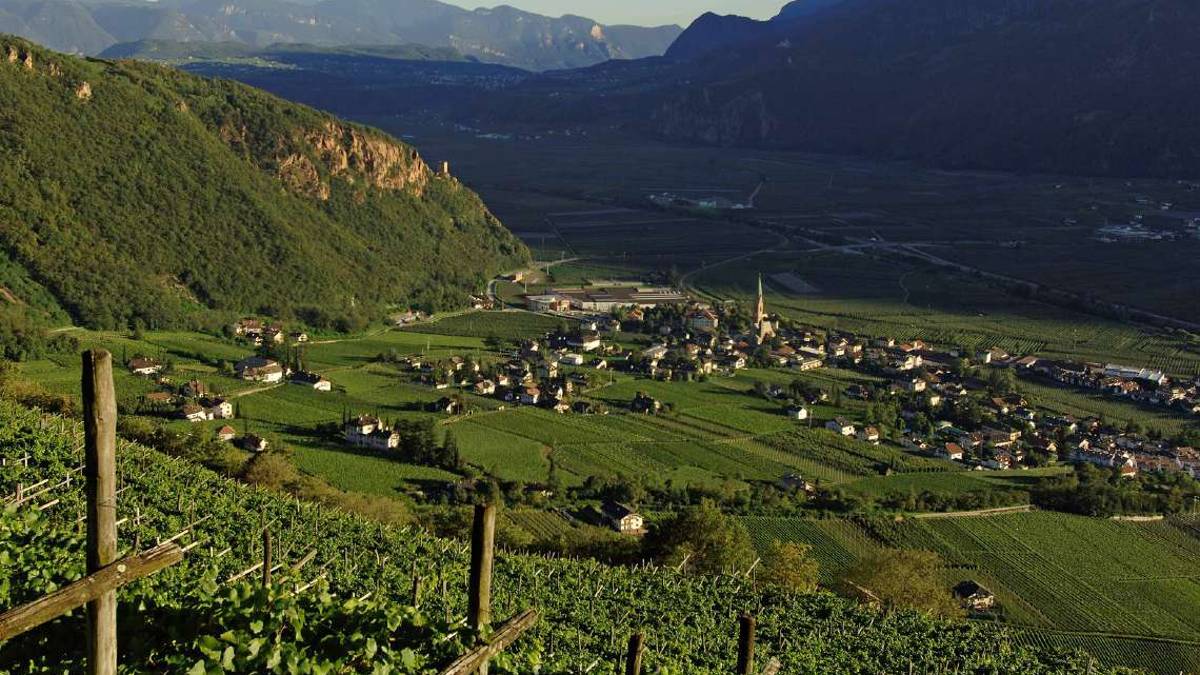 La sottile arte della longevità: questa è l’essenza dei nostri vini