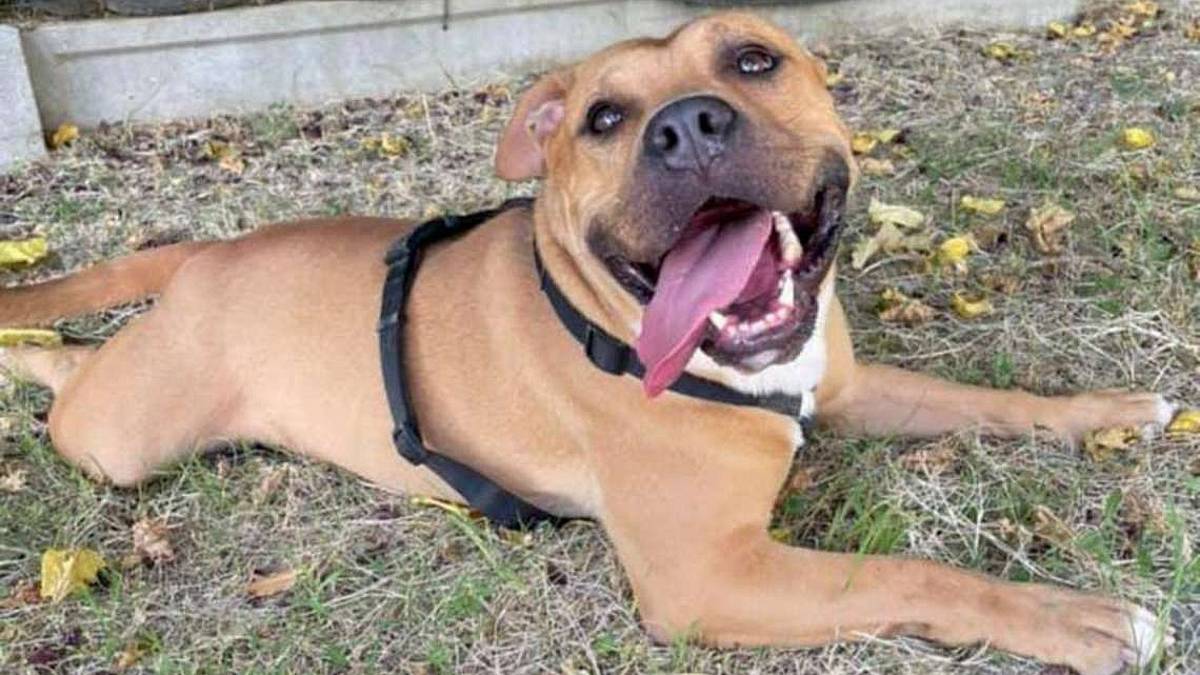 Max è un giocherellone