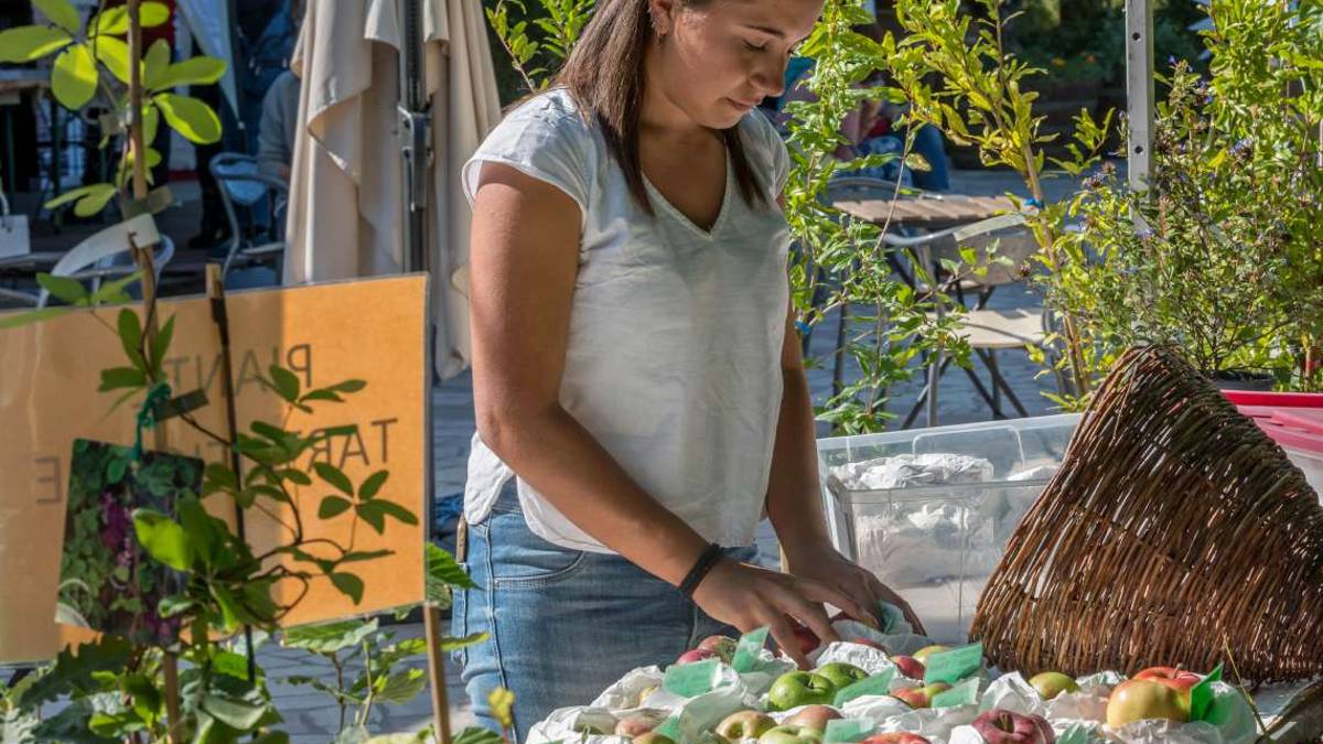 Green Festival San Marino: vedere l’erba “dalla parte delle radici”