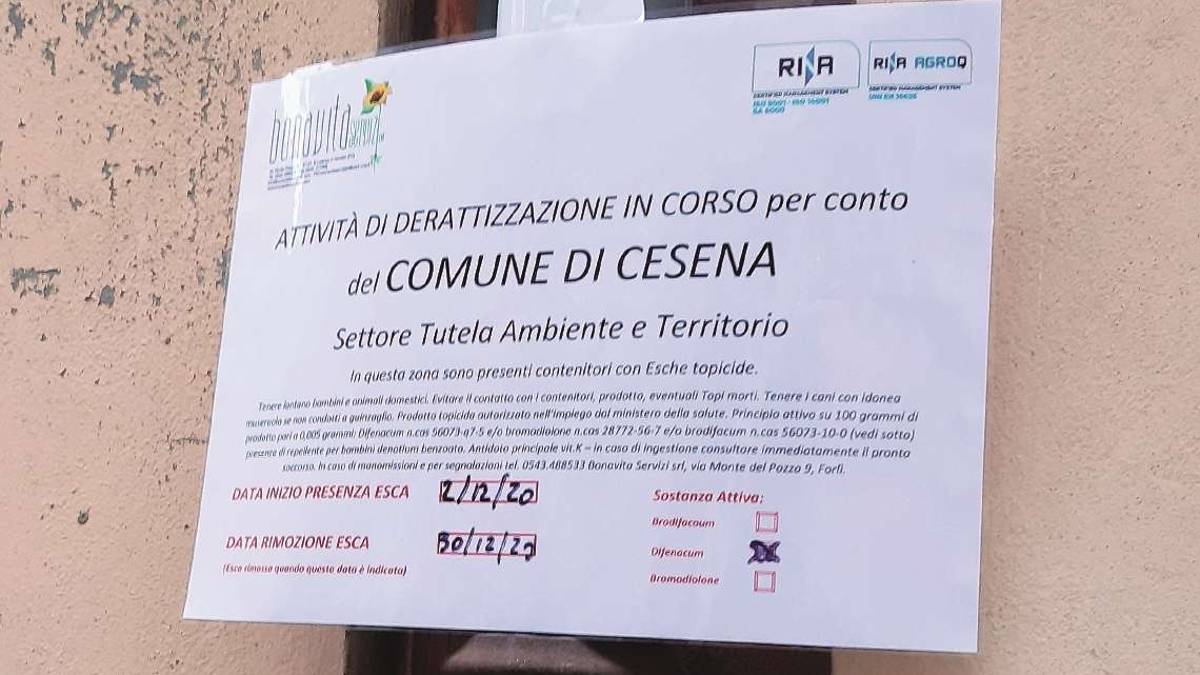 Esche velenose contro i topi in centro a Cesena nel mese di festa