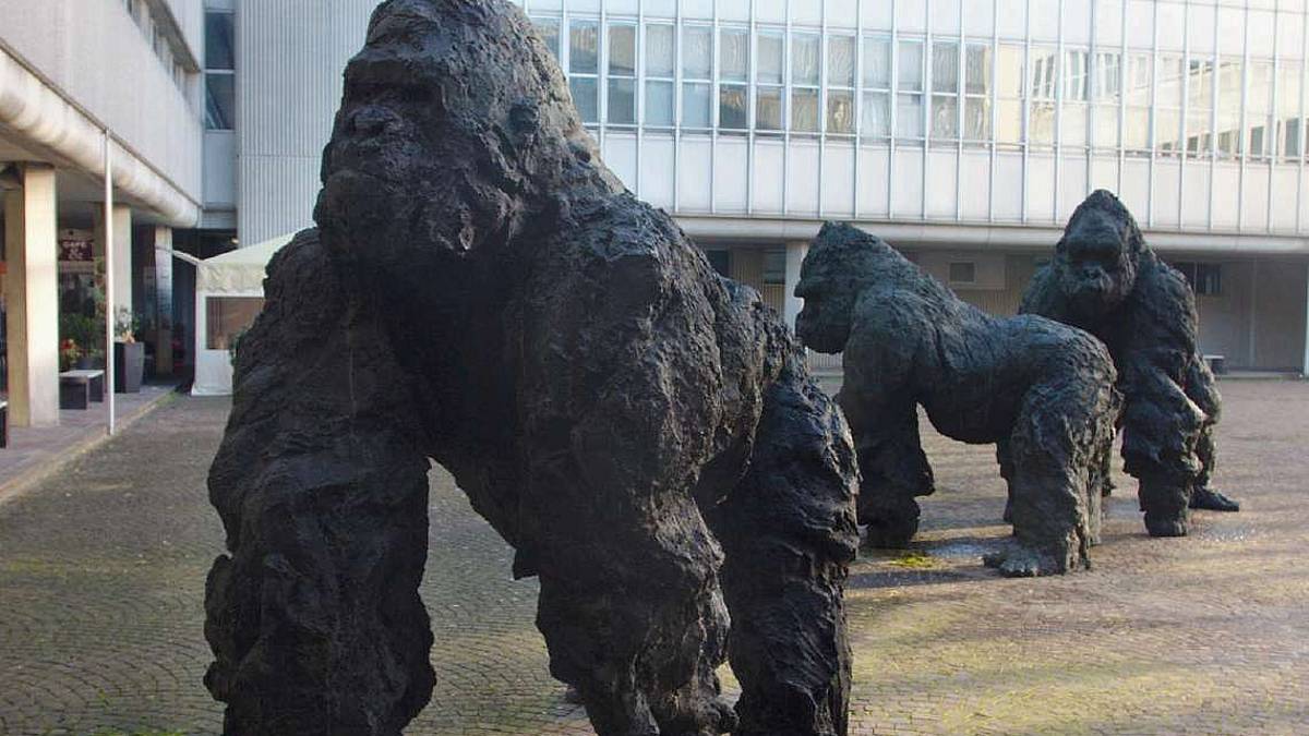 Ravenna, raggirato per 11mila euro e abbandonato ore in tribunale