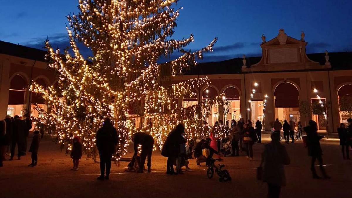 A Lugo incentivi e contributi per gli eventi di Natale