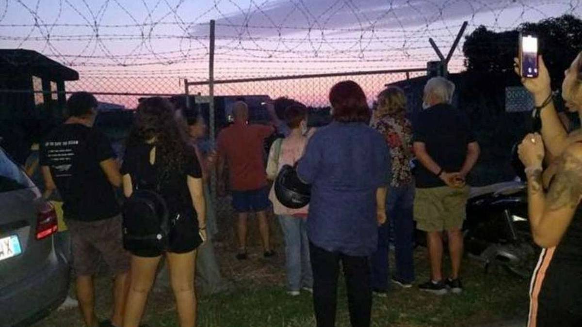 Rimini, all'aeroporto i caprioli da salvare sono due: ambientalisti in azione