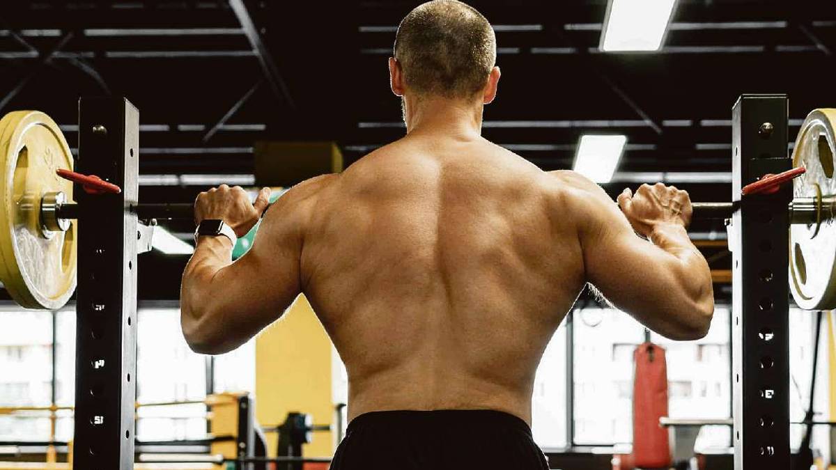 La proteina che mantiene sane le giunzioni neuromuscolari