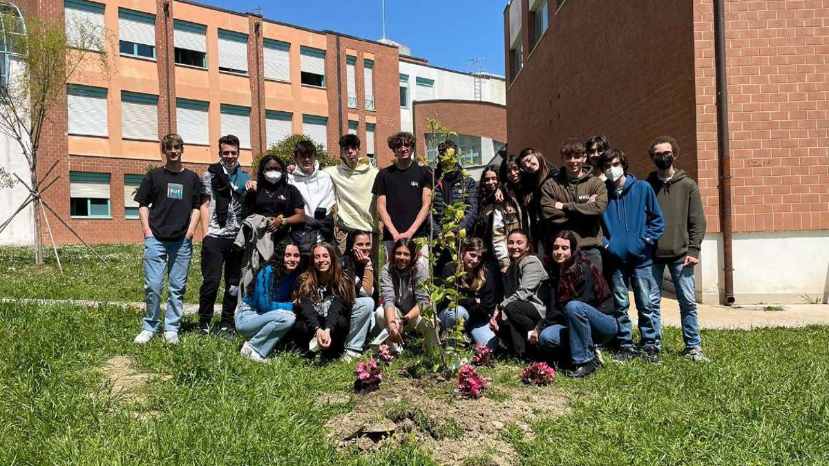 Rimini. Magnolia, lacrime e palloncini in ricordo di Elisa