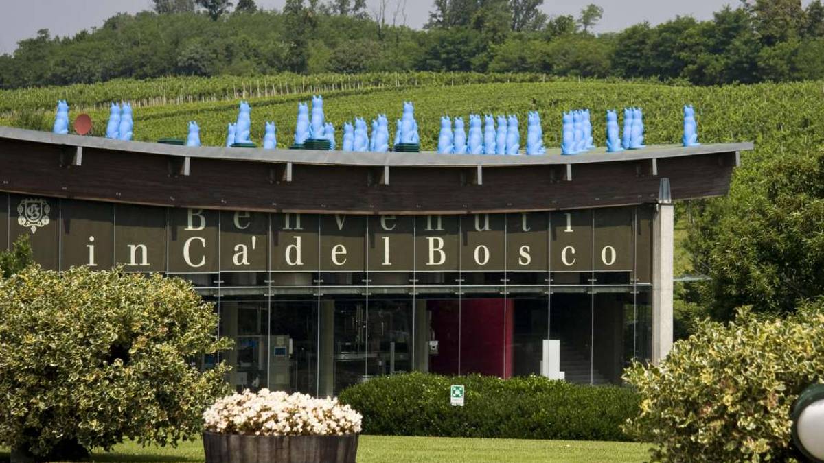 Ca' del Bosco, arte del vino in Franciacorta