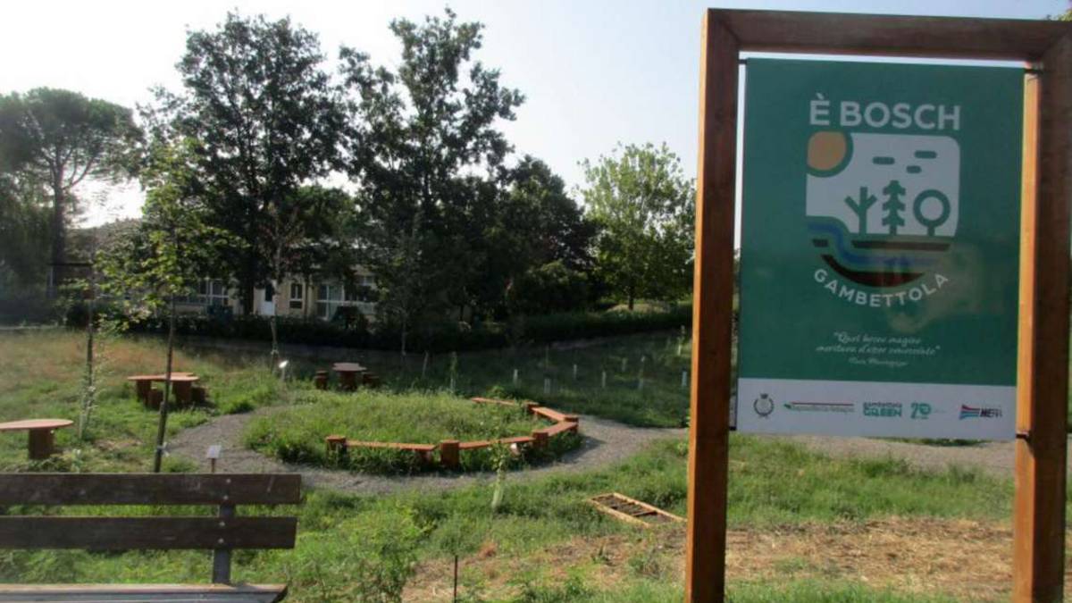 Gambettola: in crescita il progetto del bosco urbano