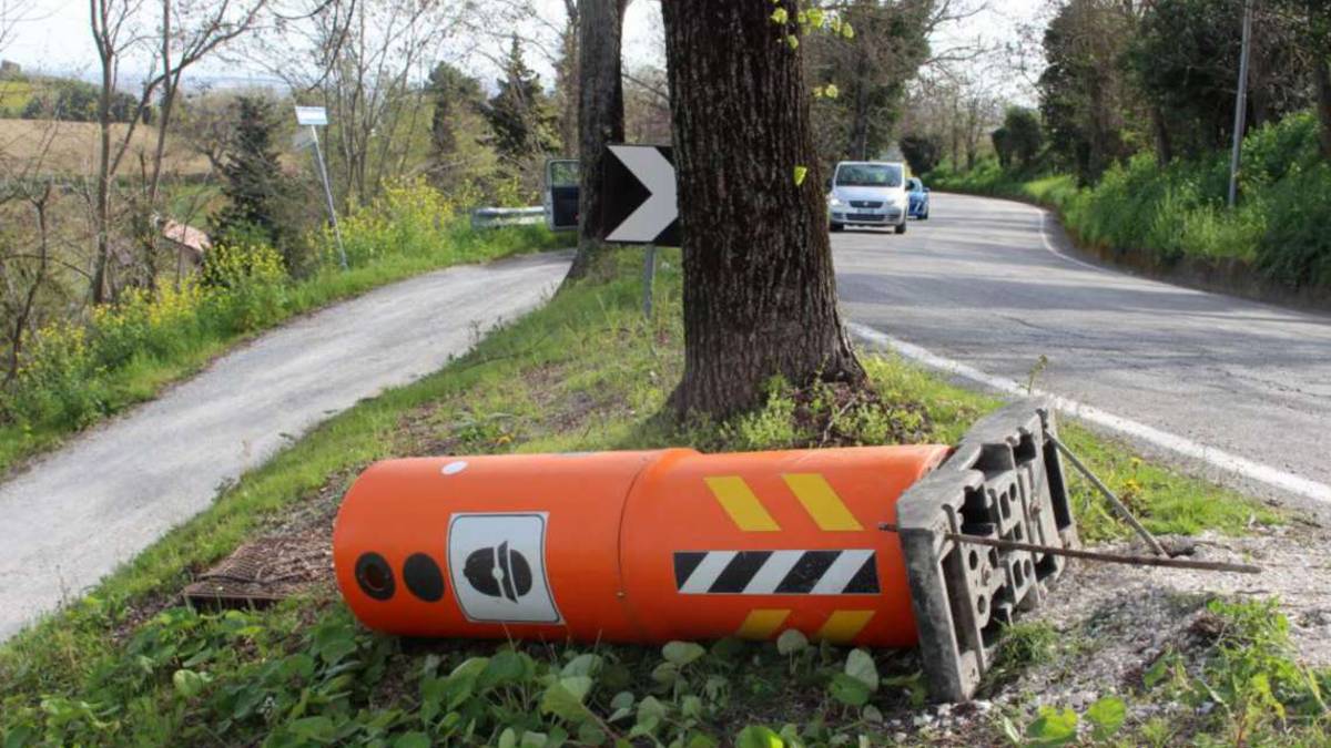Longiano, abbattuto un altro Velo Ok