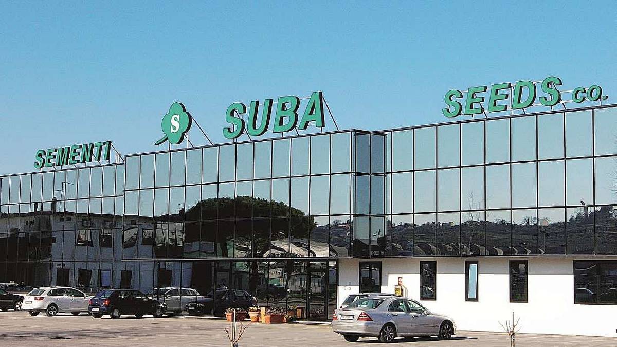 Longiano, l'azienda sementiera Suba comprata da un colosso cinese