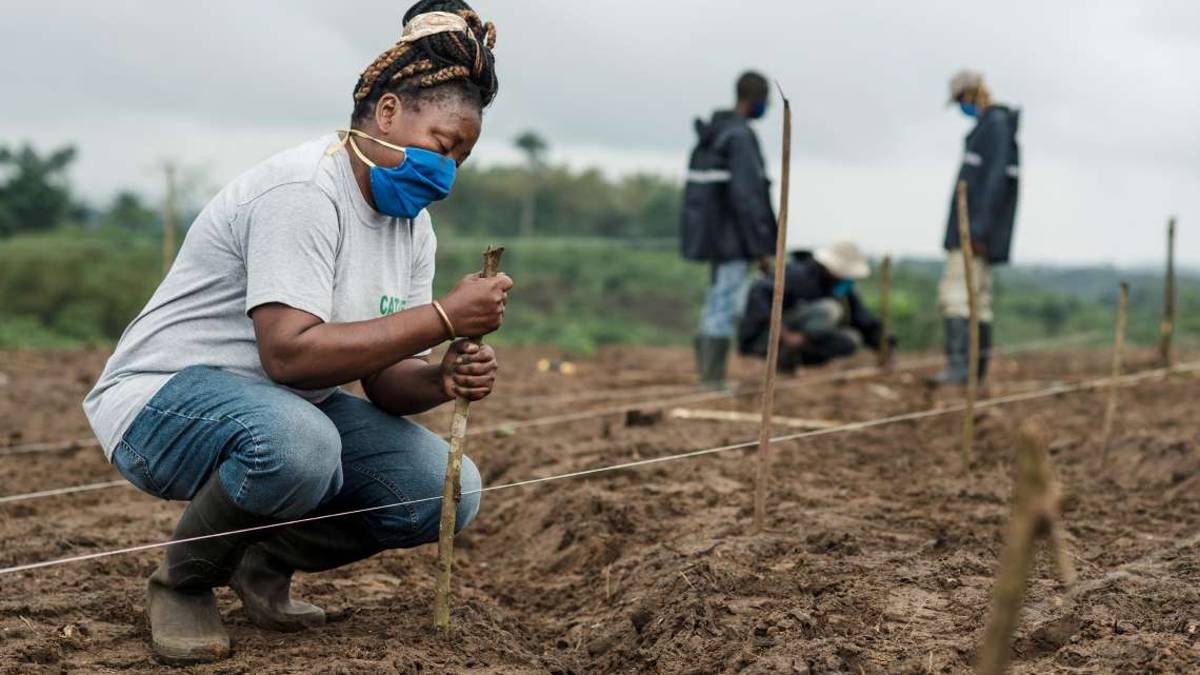 Impronta ecologica: come l’Africa farà la sua svolta green