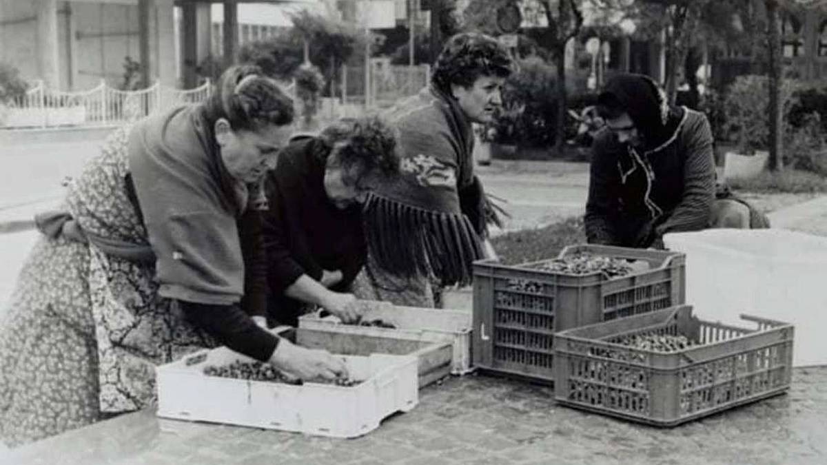 E' scomparsa Enrica Vasini, storica pescivendola di Bellaria