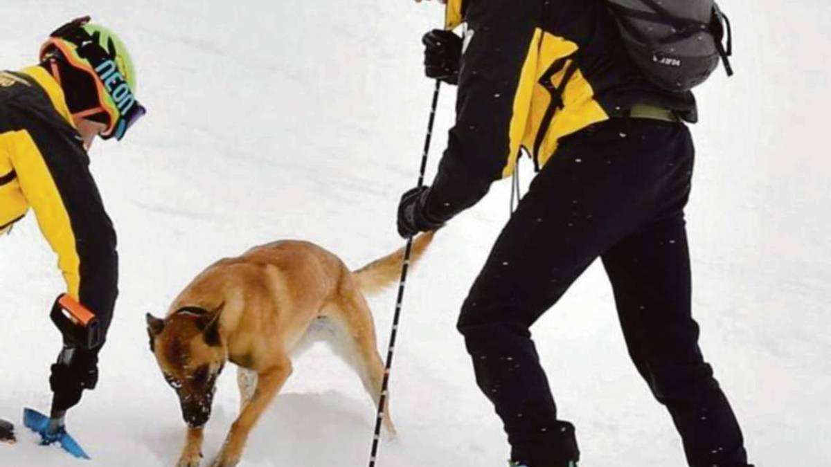 Morta sotto la neve a Montecopiolo, il figlio alla cagnolina: Brava, hai trovato la mia mamma