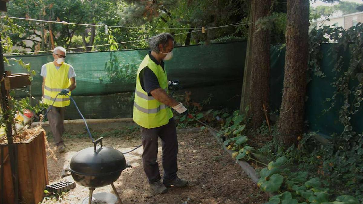 Ravenna, i lidi nord e l'incubo zanzare