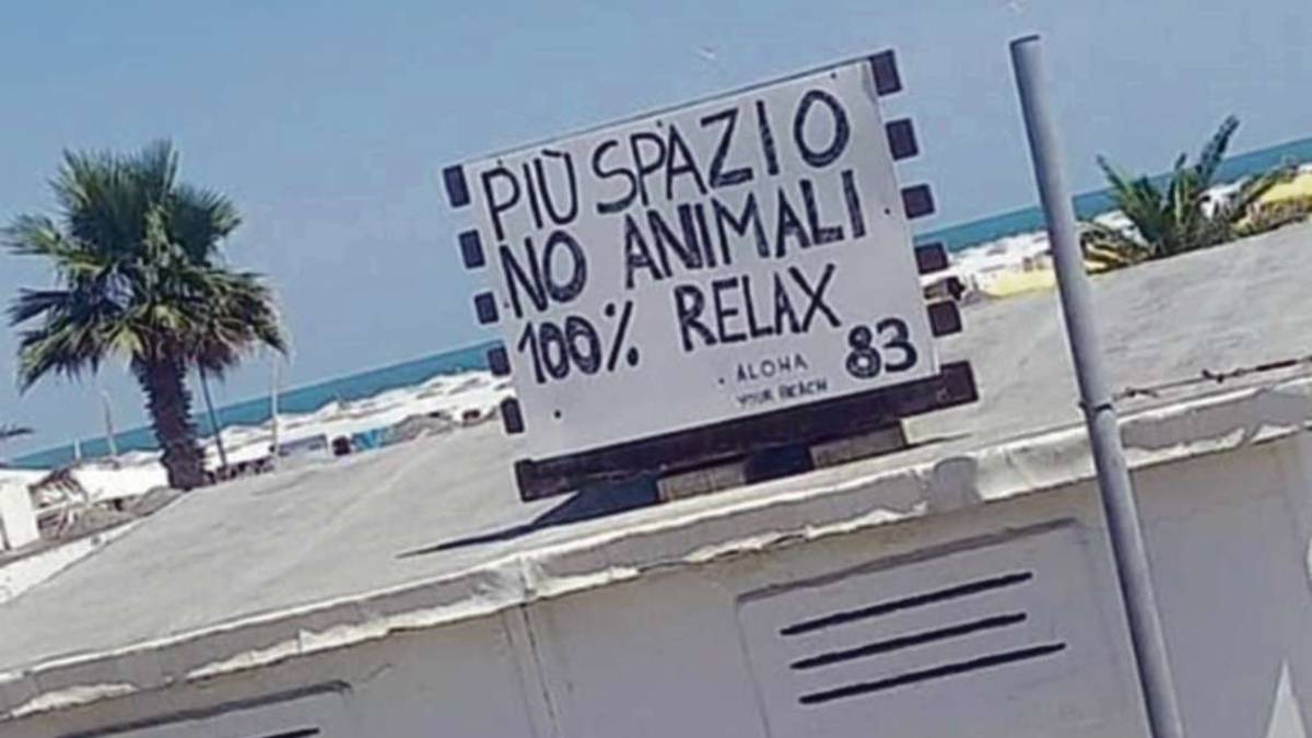 Rimini. Il bagnino: Ecco la mia spiaggia senza cani