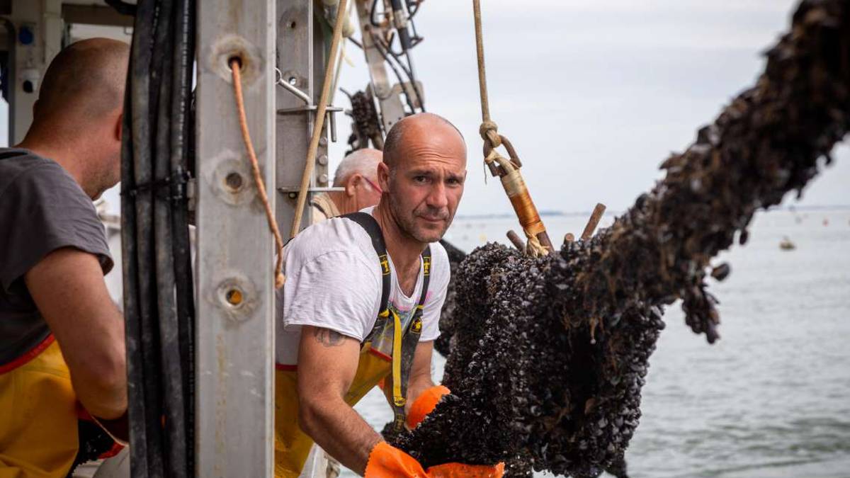 Acquacoltura, stangata sui canoni: aumenti superiori all'inflazione