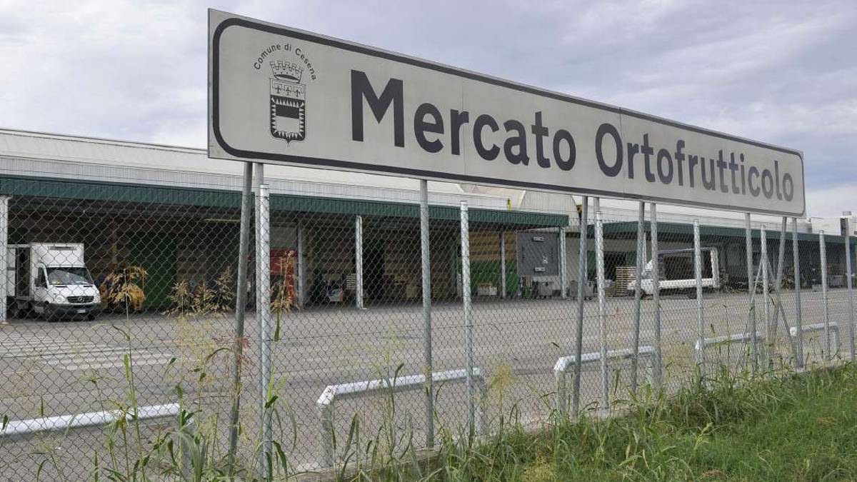 Lavori in vista al Mercarto Ortofrutticolo di Cesena