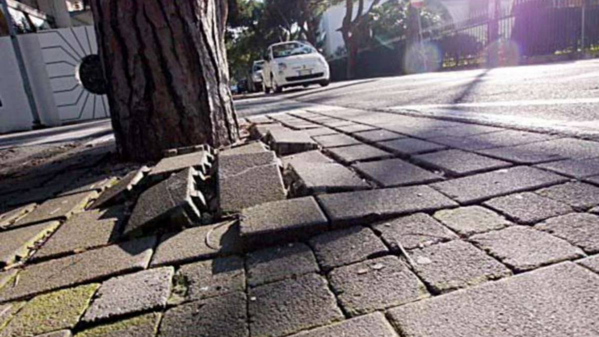 Buca nell'asfalto, il contenzioso col Comune di Lugo in Cassazione