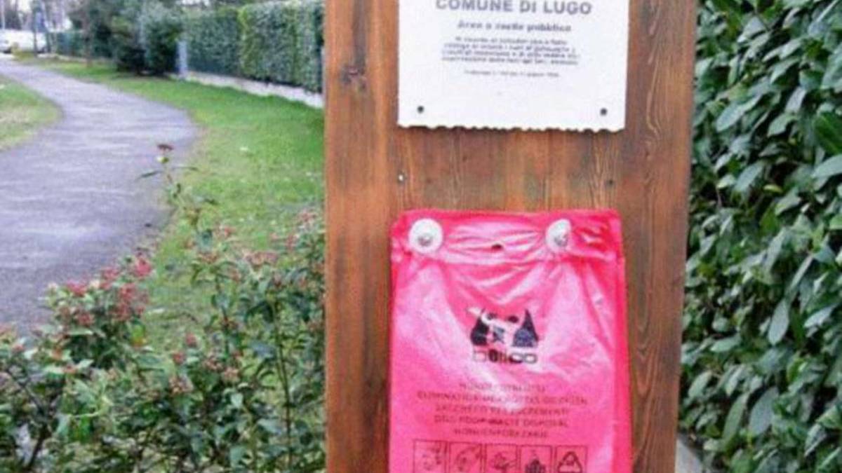 Lugo, educare i padroni dei cani: Pulire è un dovere