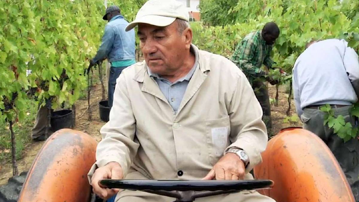 Faenza. Il mondo agricolo perde Serafino Ancarani