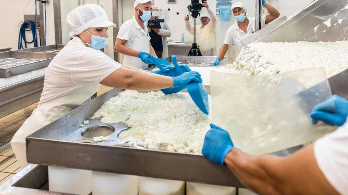 Cesena, il costo del latte cresce per via di guerra siccità e caldo