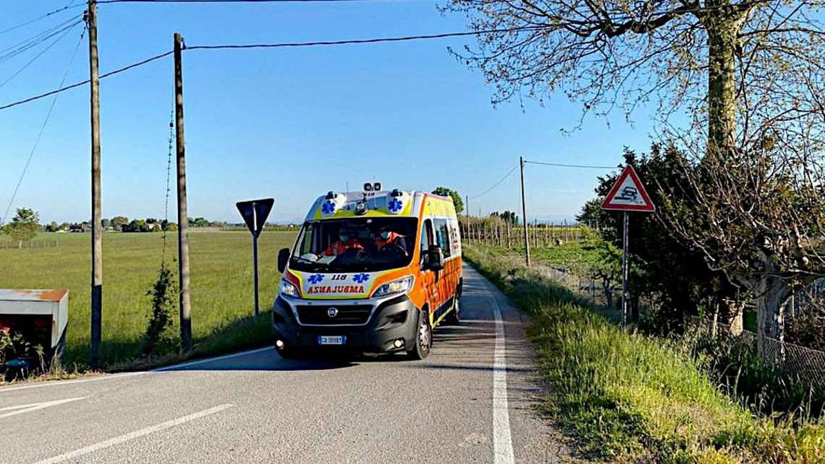 Ravenna, si arrampica sull'albero e cade, 28enne all'ospedale