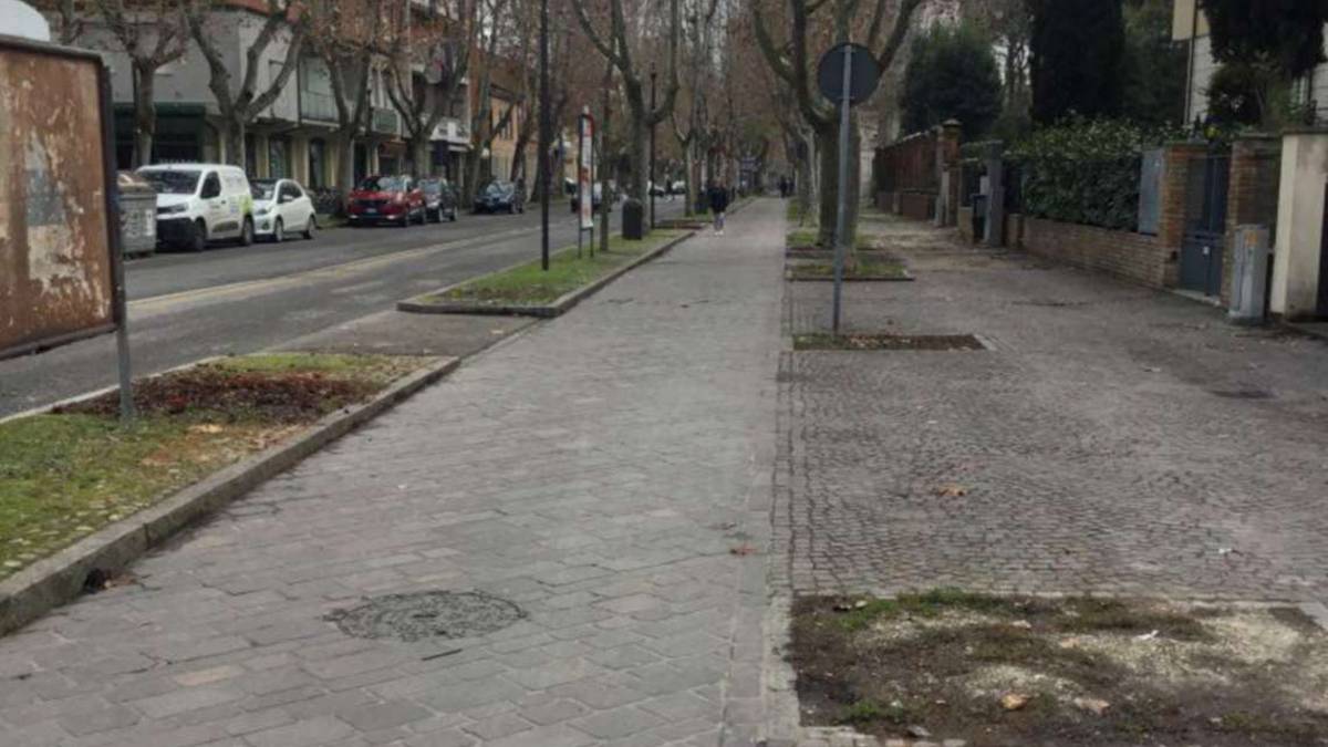 Ravenna, 30 platani nei viali della stazione