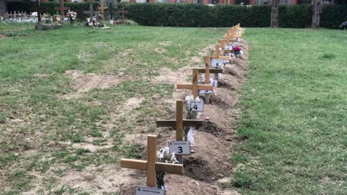 Feti e prodotti abortivi: la privacy entra al cimitero di Cesena