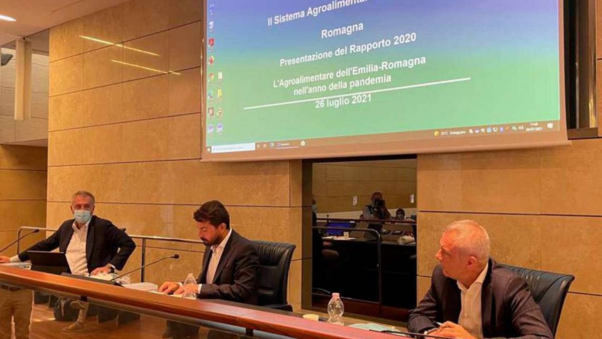 L'agricoltura nel 2020 ha rialzato la testa, lo dicono i numeri