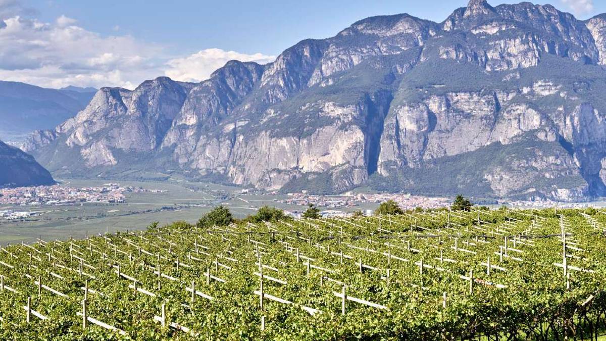 La scelta di Gardini: Cesarini Sforza Trentodoc