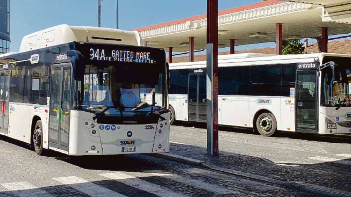 Cesena, autista di bus picchiato e scaricato dall'azienda