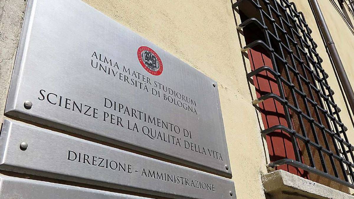 RIMINI. Università, il Comune: Anche i privati contribuiscano