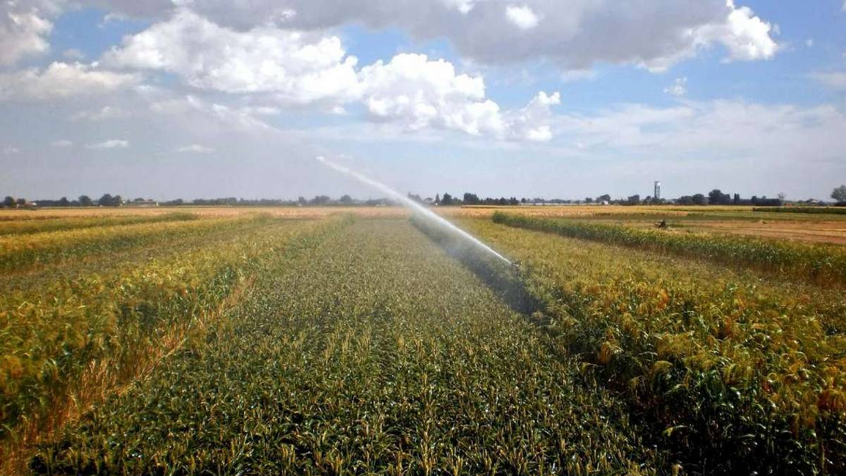 Dalle acque di pioggia a quelle reflue: strategie contro la siccità