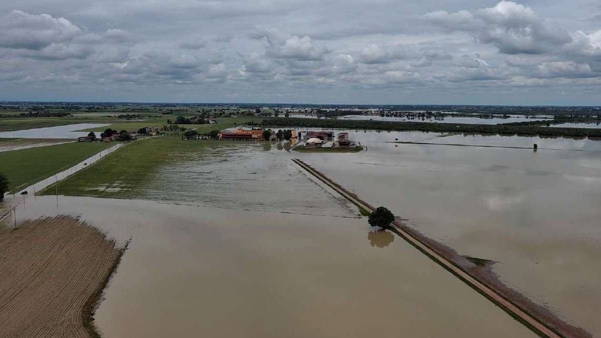 Medicina, nella Tenuta Vallona distrutti oltre 800 ettari di campi