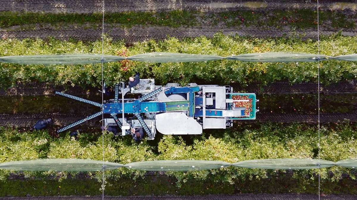 Frutta, alla carenza di manodopera adesso ci pensa la robotica