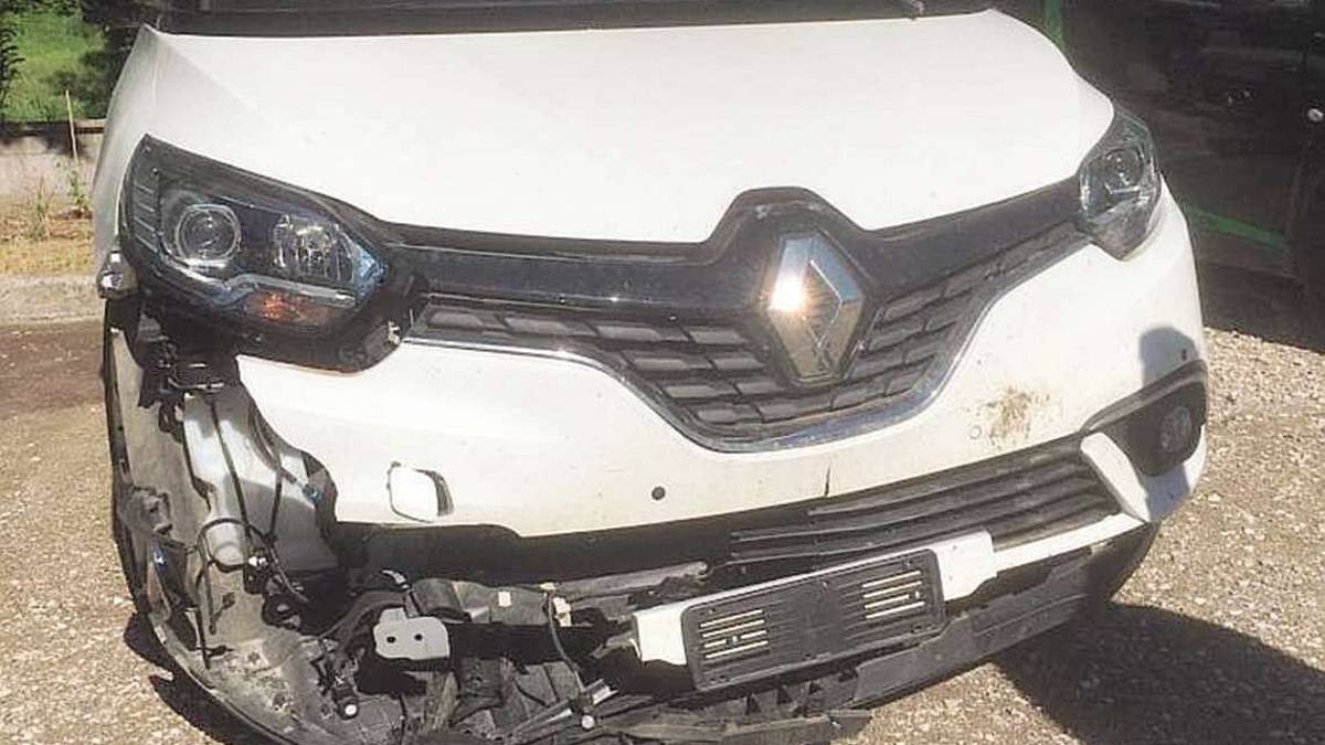 Cesena, cinghiale contro un'auto in E45: Sembrava un masso caduto dal cielo