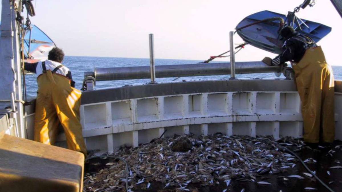 Rimini. Venerdì la protesta della pesca al porto