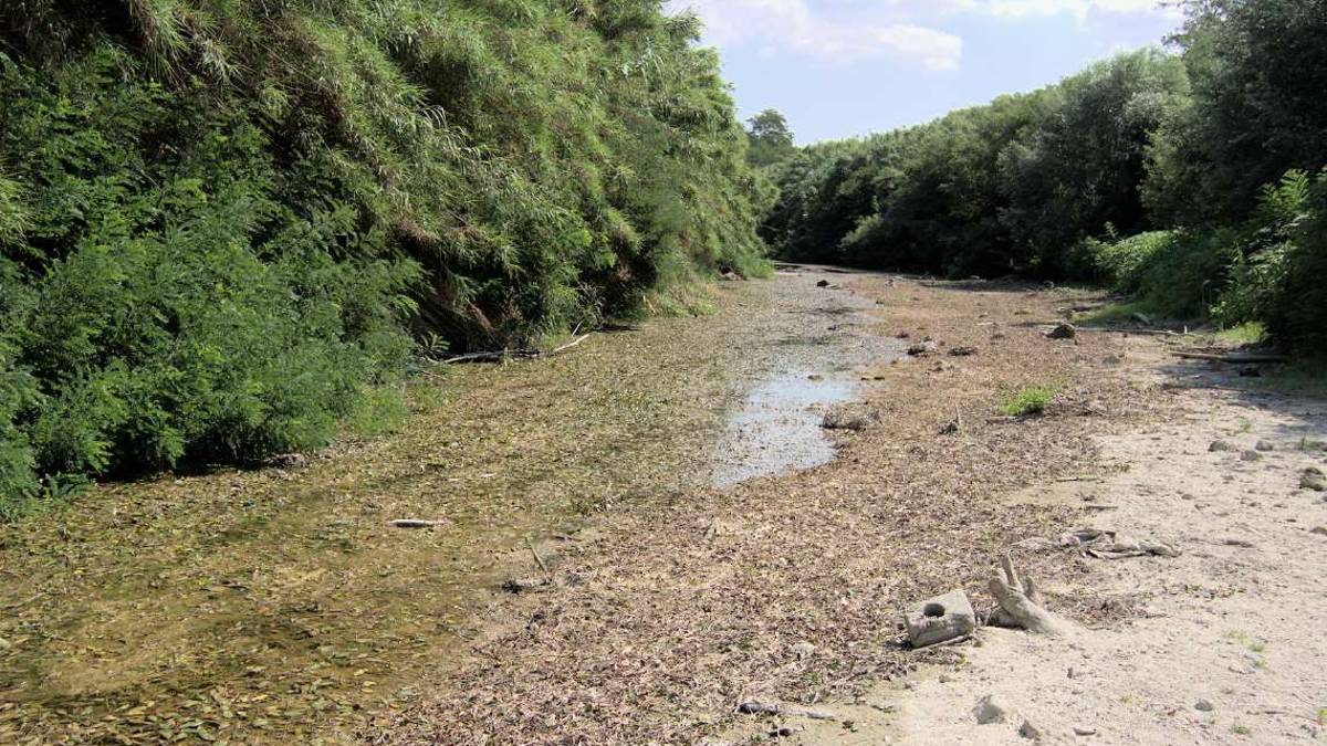 Siccità, valli in sofferenza e alcune specie si estinguono VIDEO