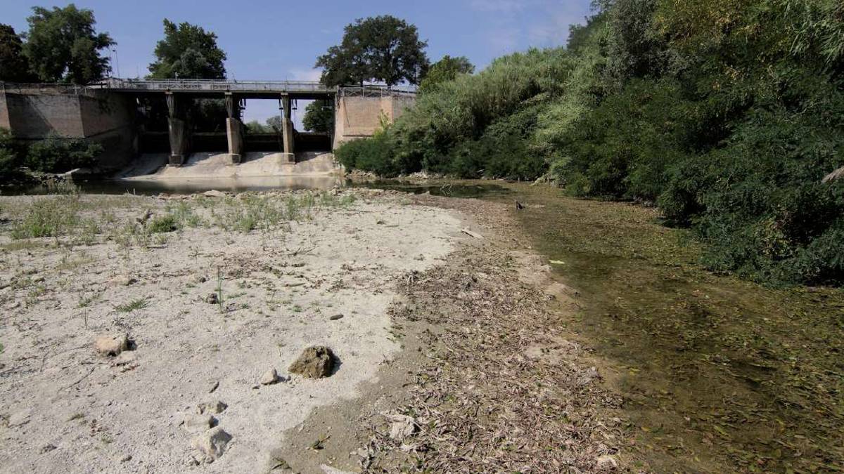 Ravenna, l'esperto: Estate tra le più calde di sempre: i dati