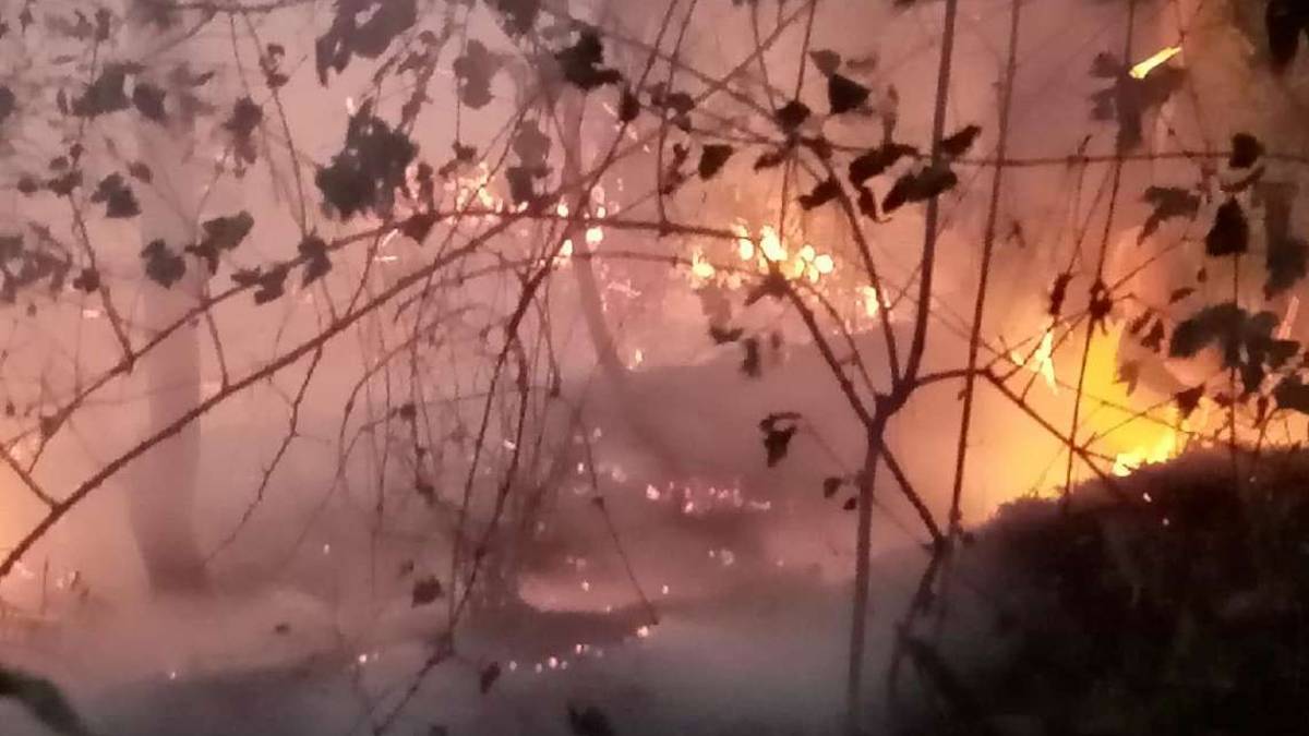 Casola: in fumo 20 ettari di bosco, indagini sul rogo