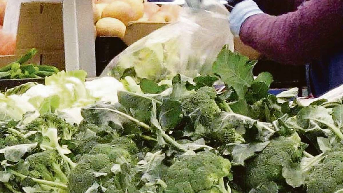 Rimini, insetti e capelli nelle buste dell'insalata: chiesti 4 anni per la sindacalista operaia