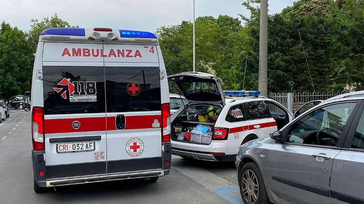 Donna aggredita e ferita da un cane a Cesena