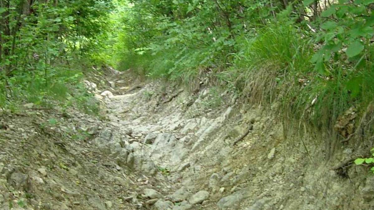 Rimini, il Cai: Basta con lo scempio delle moto dei sentieri
