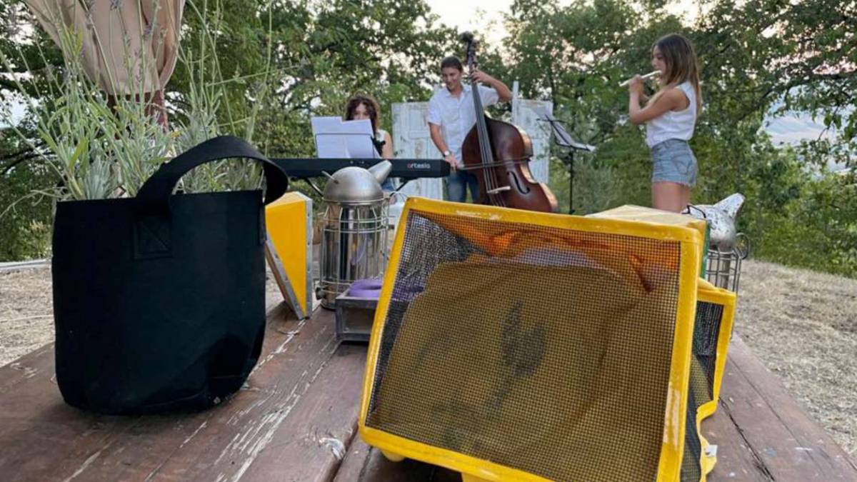 Forlì, un concerto all'alba per la smielatura