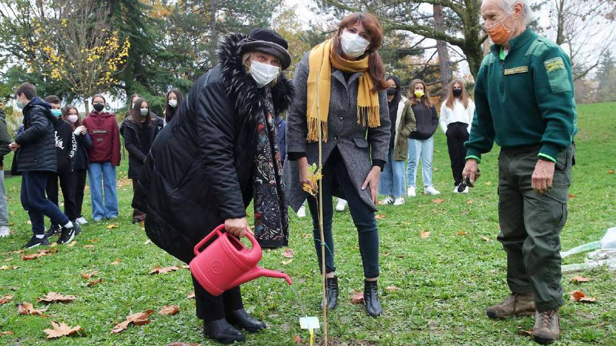 Imola, un albero per ogni nato e piante nelle scuole