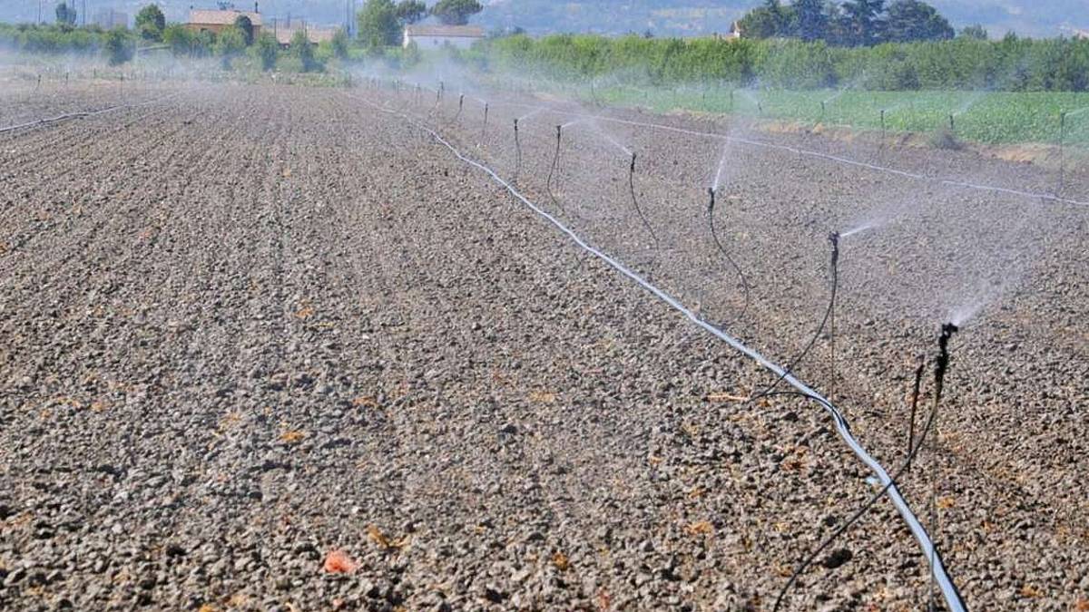 Cesena, pericolo siccità in campagna: si irriga come a luglio