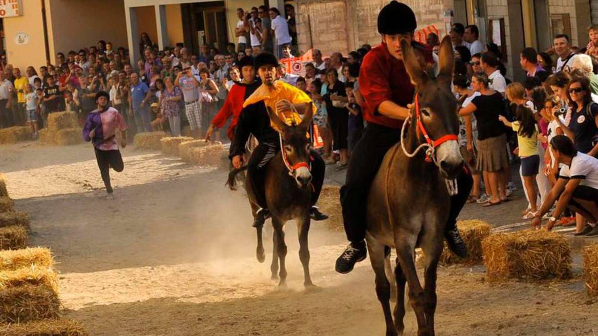 Valle Savio, sagre e palii tornano a impazzare dopo 2 anni di stop